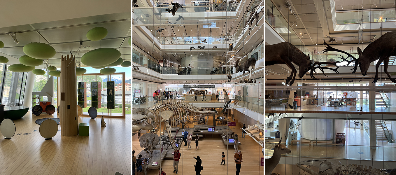 Muse museo delle scienze di Trento