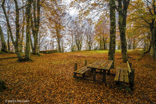 Foliage sul Parco dei Nebrodi